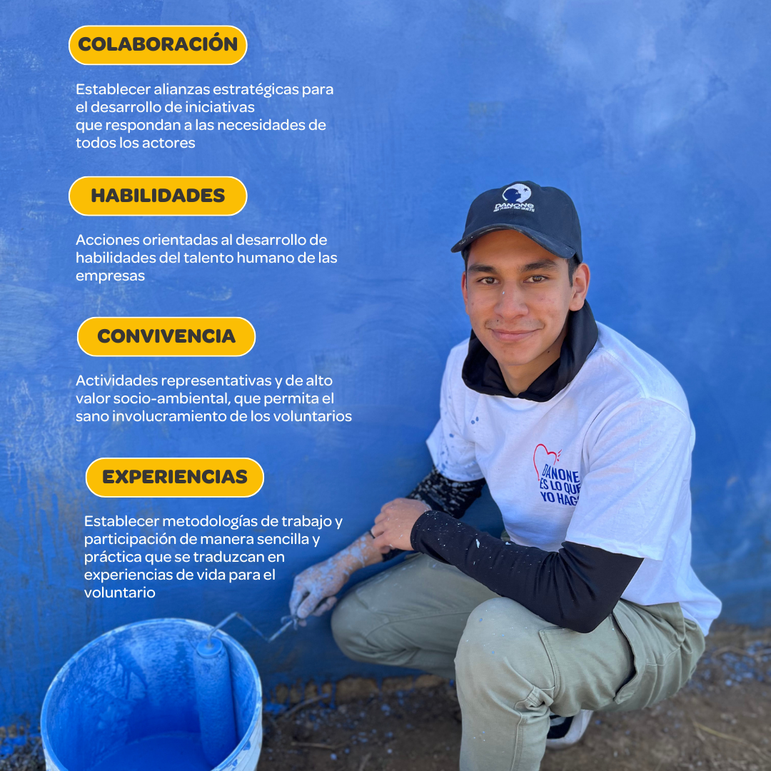 Voluntariado Individual